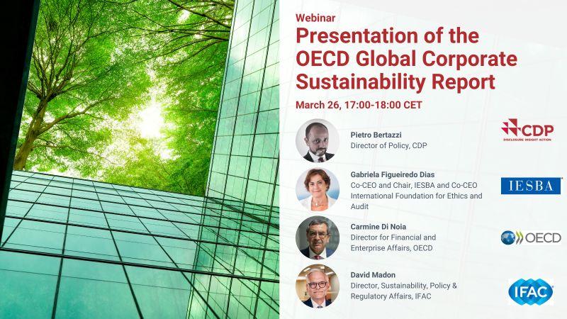 Presentation of the OECD Global Corporate Sustainability Report