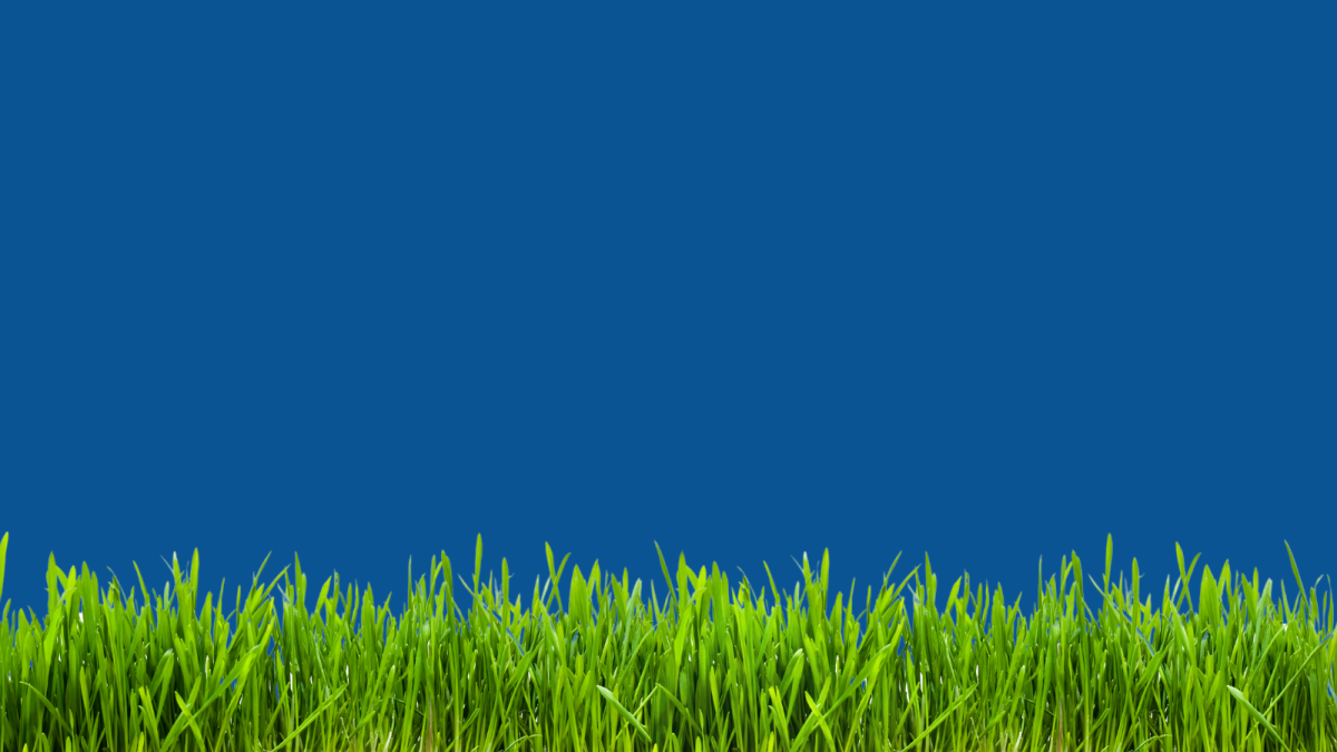 Green grass growing over a blue background