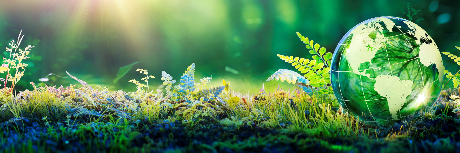 Green forest with globe