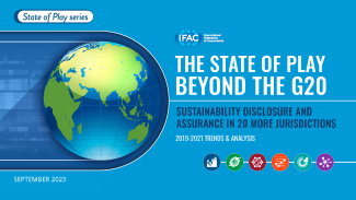 The State of Play: Sustainability Disclosure & Assurance 2019-2021
