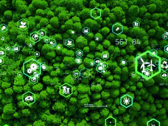A bird's eye view of a forest overlaid with small images related to renewable energy generation