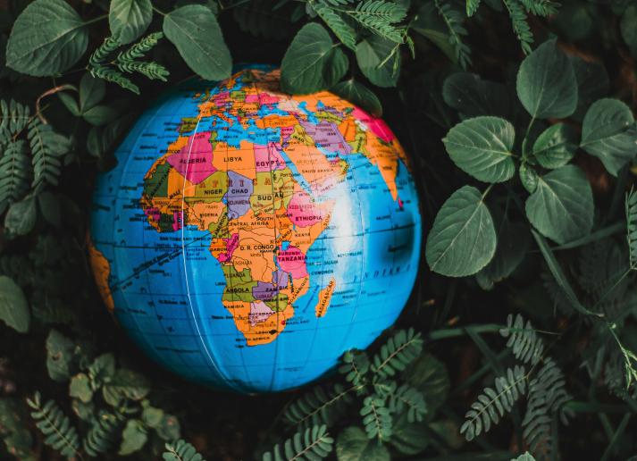 A model globe with Africa facing the camera, resting in green leaves