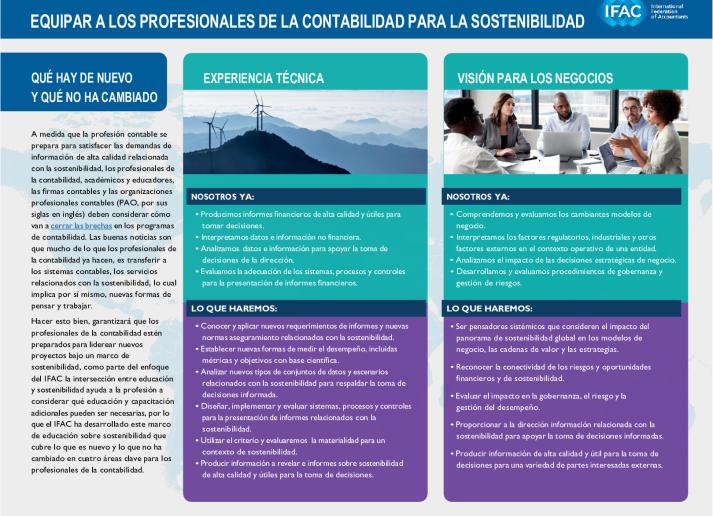 IFAC-Equipping-Professional-Accountants-Sus_ES_Secure.pdf