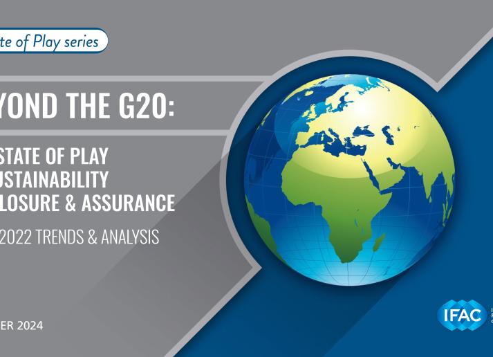 IFAC-State-Play-Sustainability-Beyond-G20.pdf