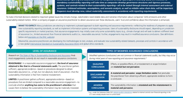 IFAC-Sustainability-Assurance-What-Expect.pdf