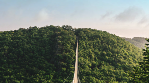 Equipping the Public Sector for Sustainability Action