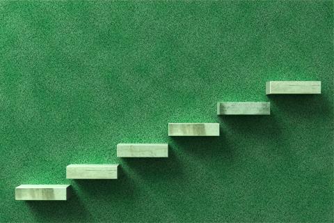 Six green stairs on a wall of moss