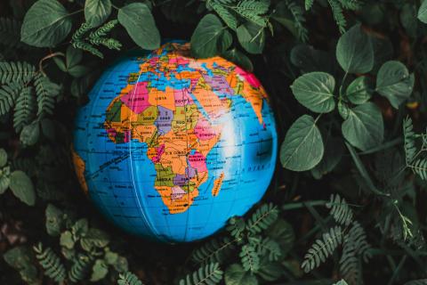 A model globe with Africa facing the camera, resting in green leaves