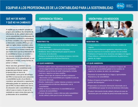 IFAC-Equipping-Professional-Accountants-Sus_ES_Secure.pdf