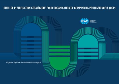 IFAC-PAO-Strategy-Planning-Toolkit-FR.pdf