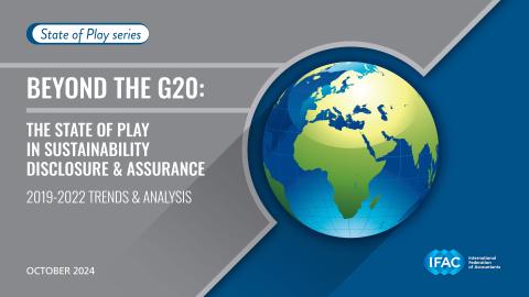 IFAC-State-Play-Sustainability-Beyond-G20.pdf