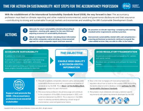 Time for Action on Sustainability: Next Steps for the Accountancy ...